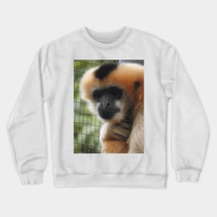 White-cheeked gibbon Crewneck Sweatshirt